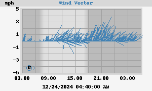 Wind Vector